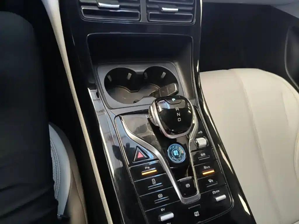 Qin PLUS 2024 Glory Edition DM-i 55KM Leading Model — миниатюра 14