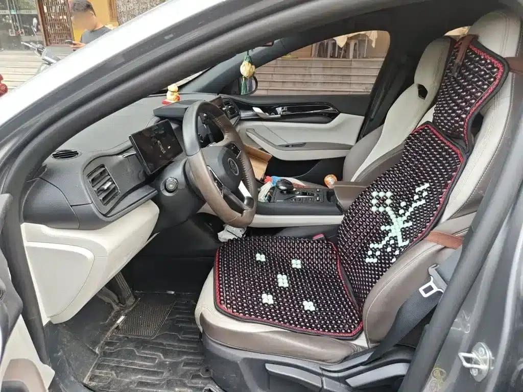 Qin PLUS 2023 Champion Edition DM-i 55KM Leading Model — миниатюра 8