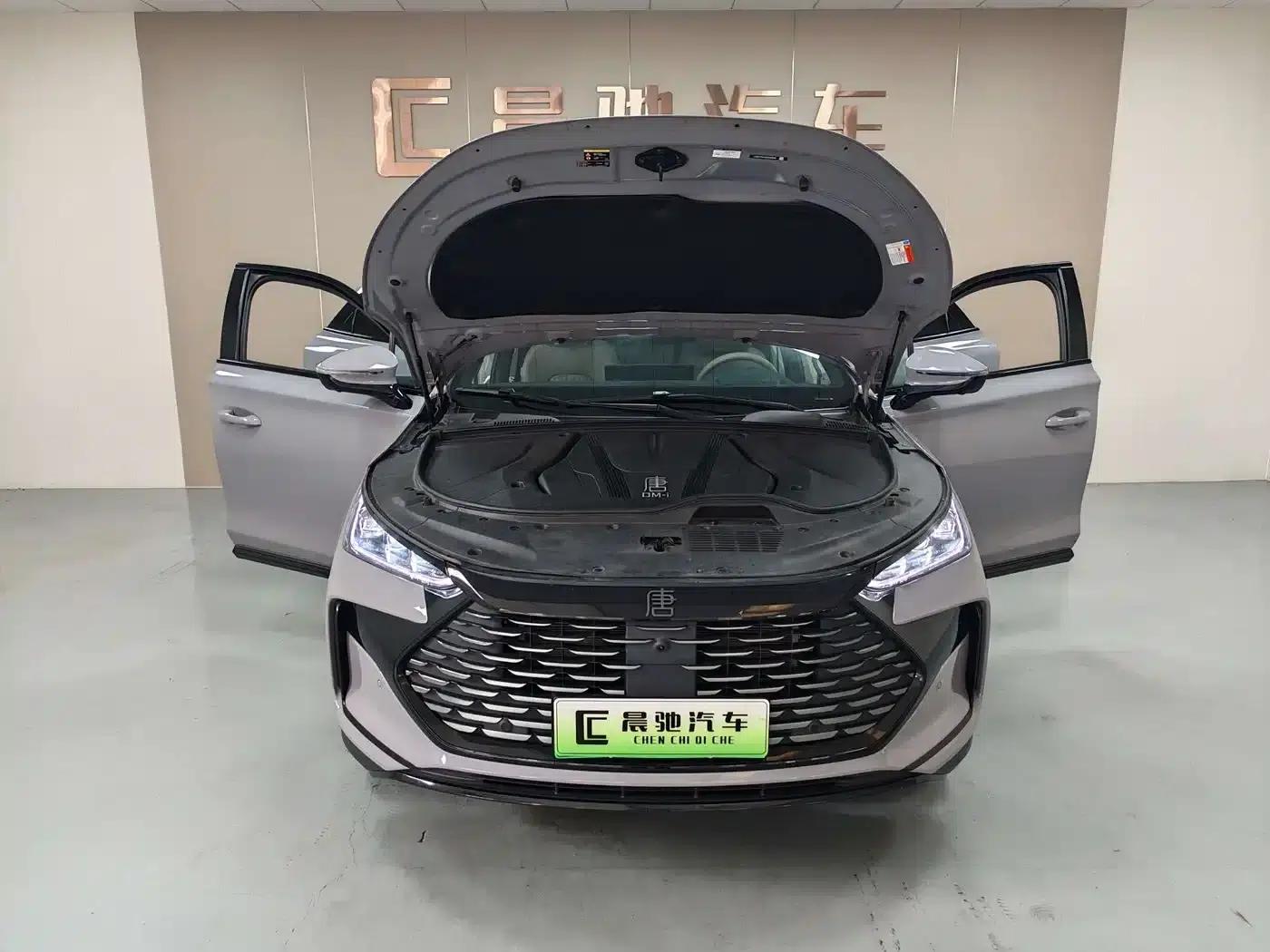 Tang New Energy 2025 DM-i 115KM Flagship Edition — миниатюра 15