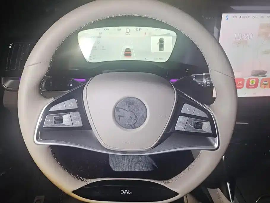 Tang New Energy 2025 DM-i 115KM Premium Edition — миниатюра 15