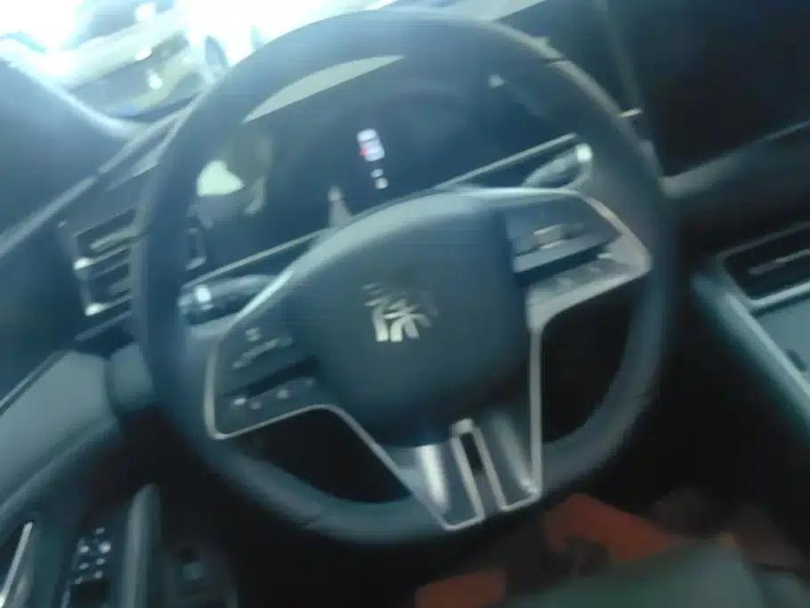 Qin L 2024 DM-i 120KM Super Edition — миниатюра 15