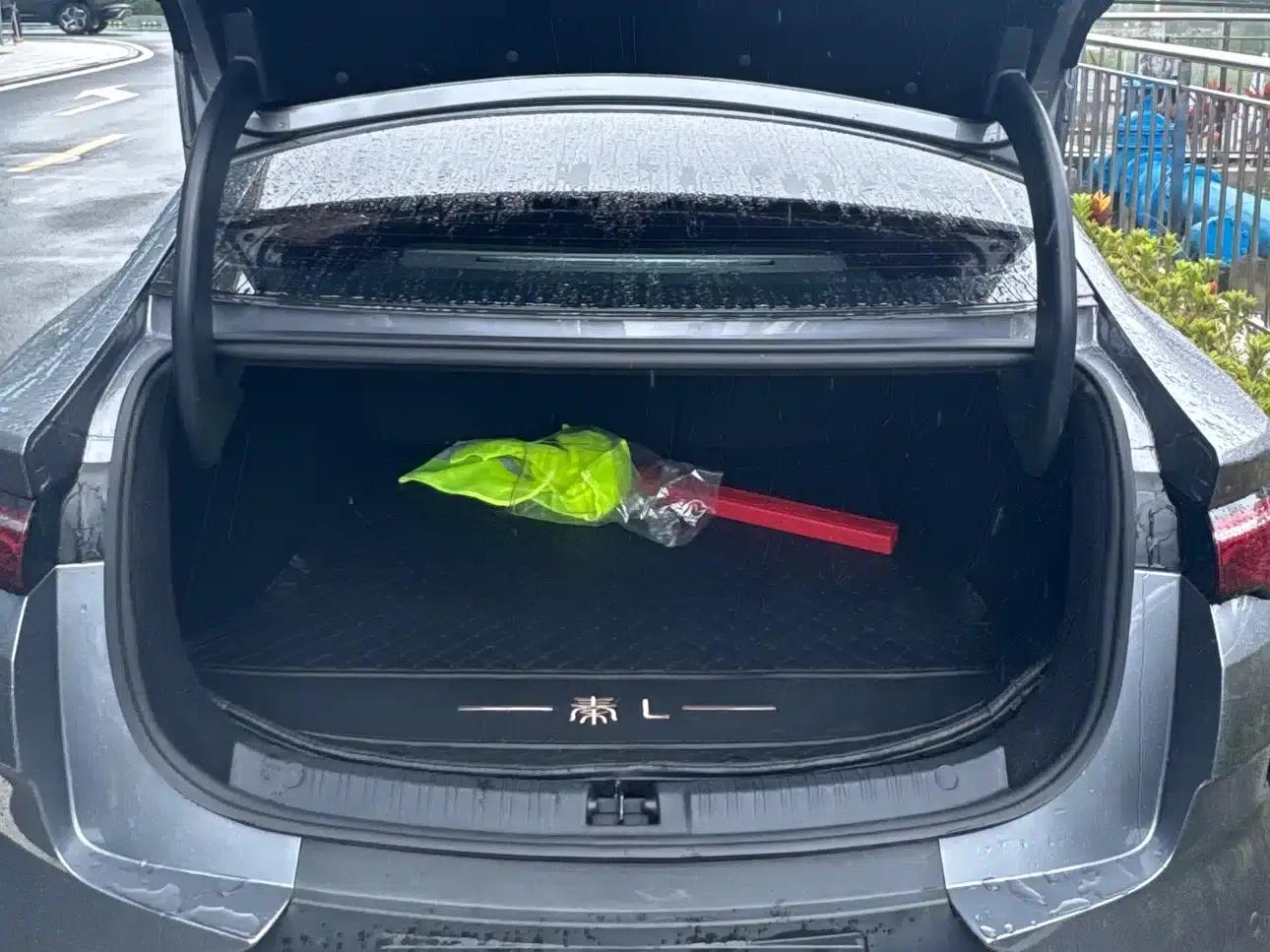 Qin L 2025 EV 545KM Premium Edition — миниатюра 15