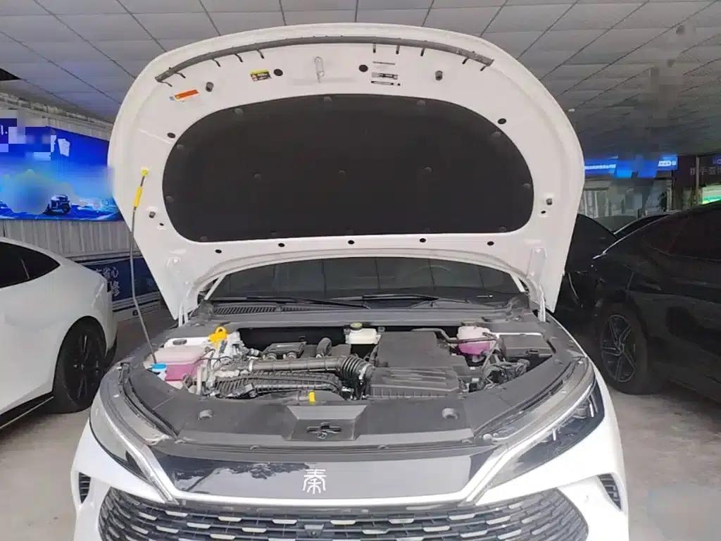 Qin L 2025 DM-i Intelligent Driving Edition 80KM Leading Model — миниатюра 20