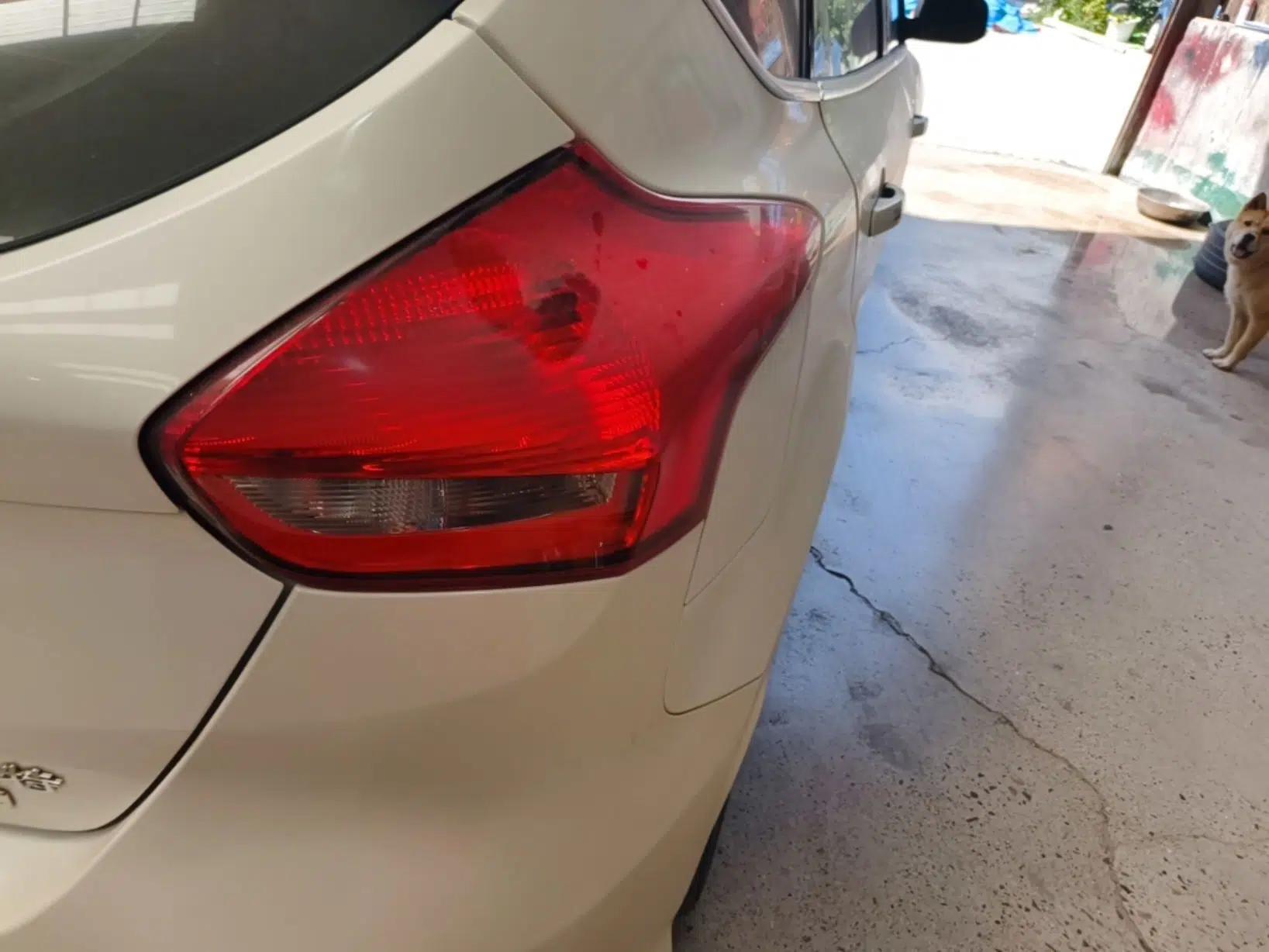 Ford Focus 2015 Hatchback EcoBoost 180 Automatic Sport Model — миниатюра 9