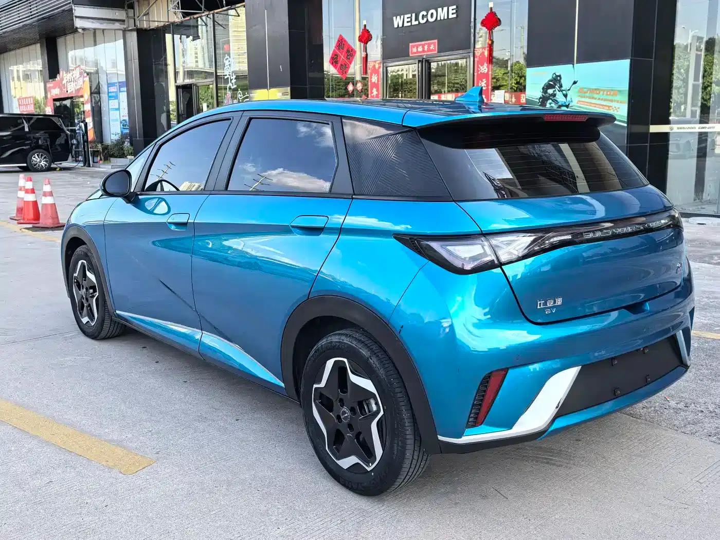 Dolphin 2021 405km Fashion Edition — миниатюра 4