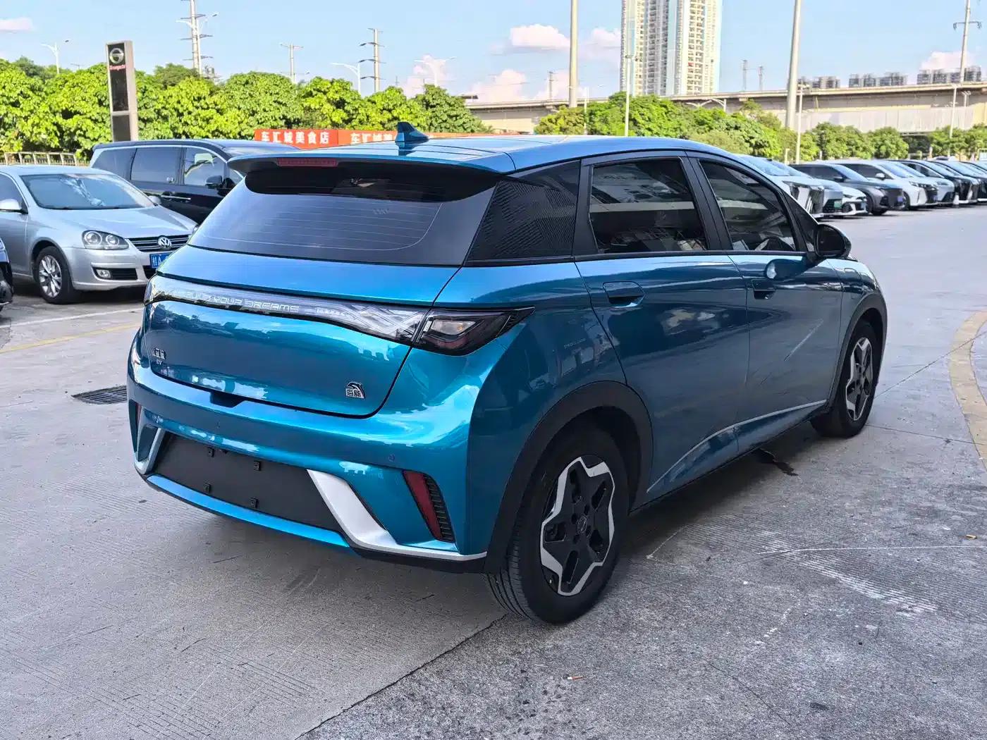 Dolphin 2021 405km Fashion Edition — миниатюра 6
