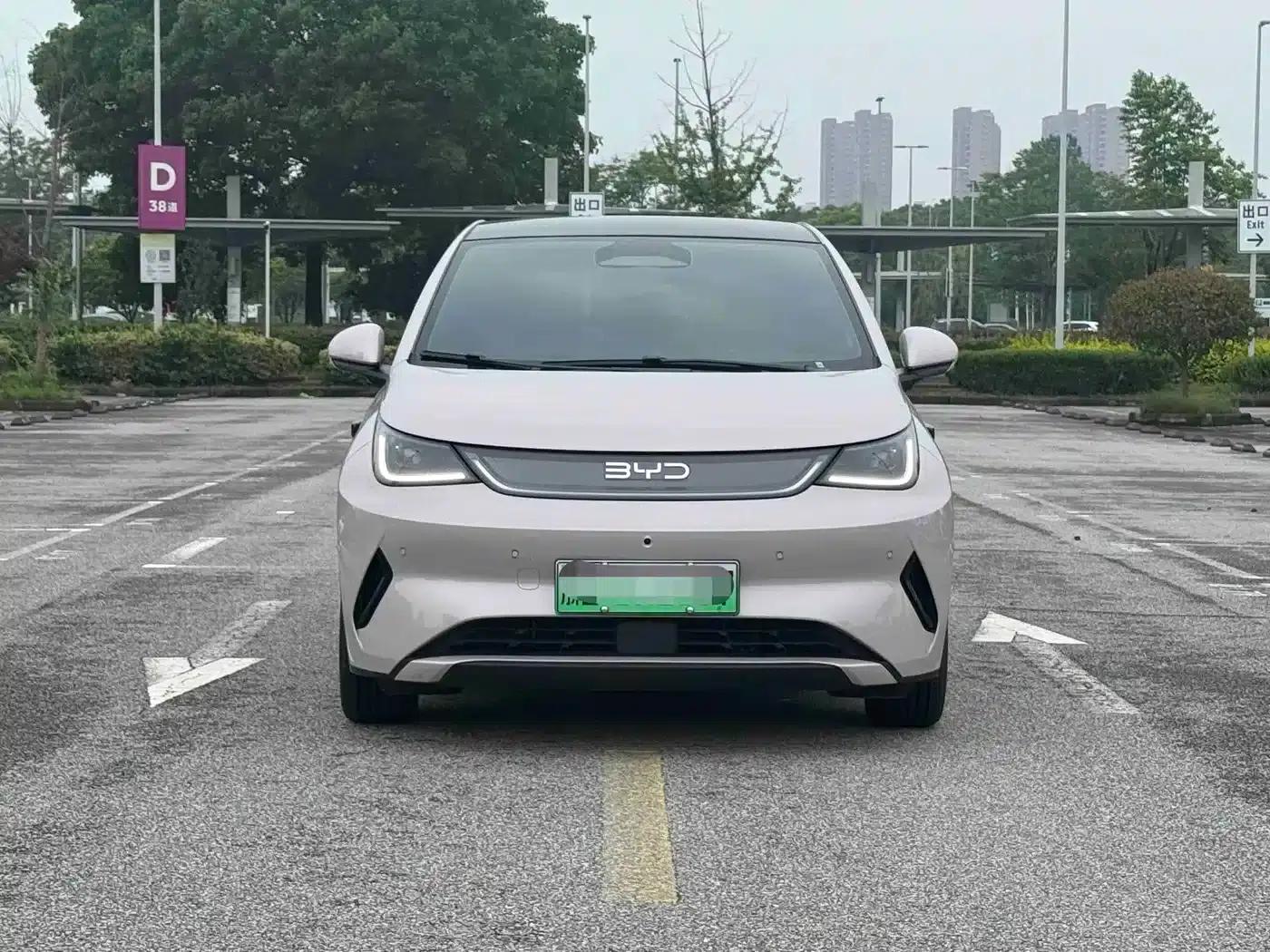Dolphin 2025 Smart Driving Edition 410km Fashion Edition — миниатюра 2