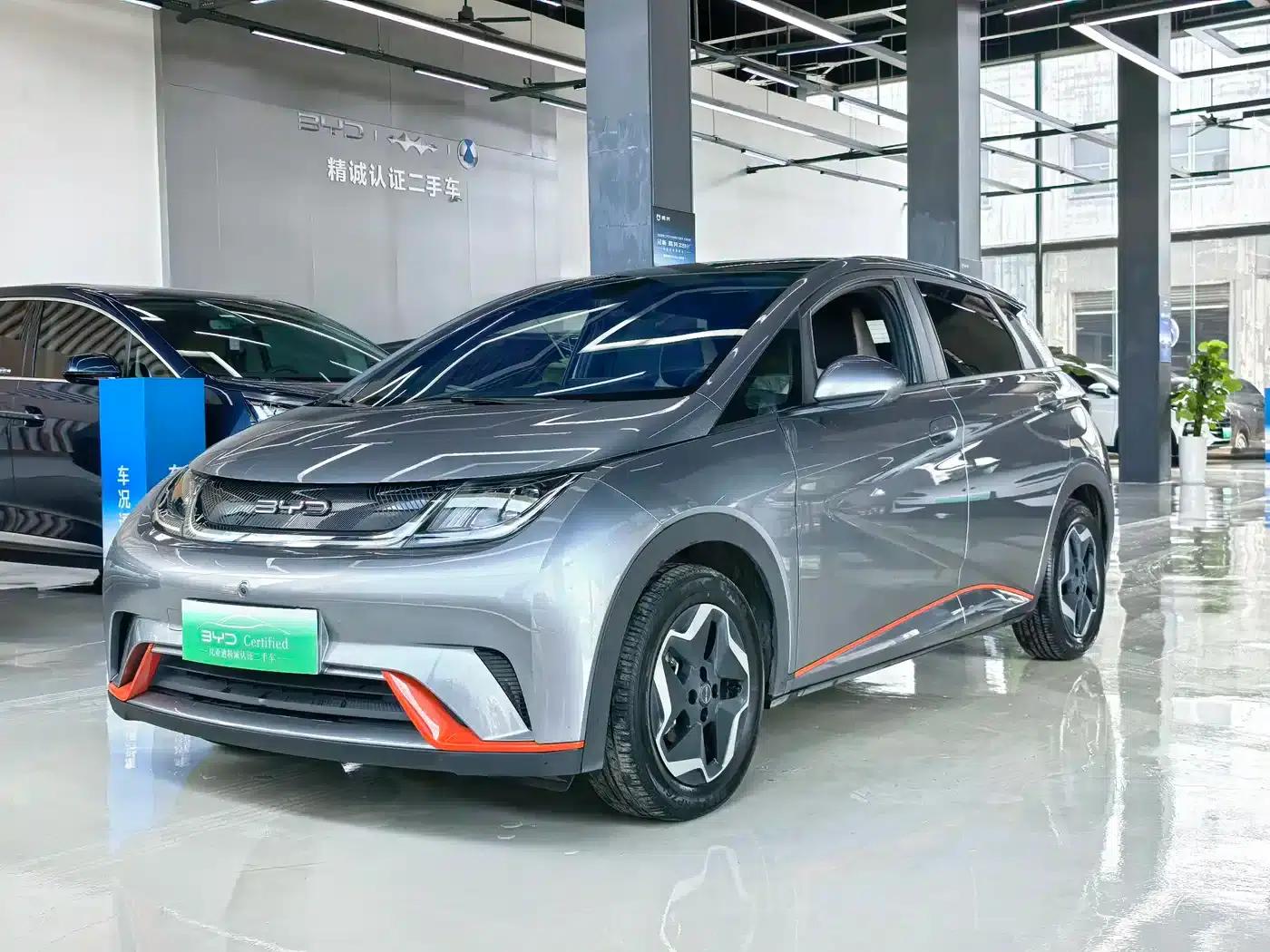 Dolphin 2021 405km Freedom Edition — миниатюра 1