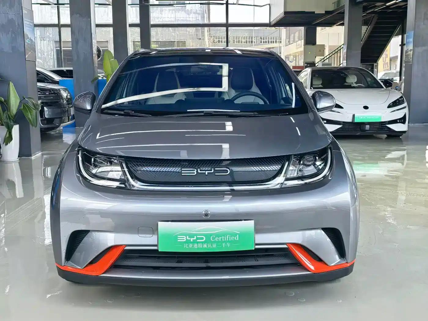 Dolphin 2021 405km Freedom Edition — миниатюра 2