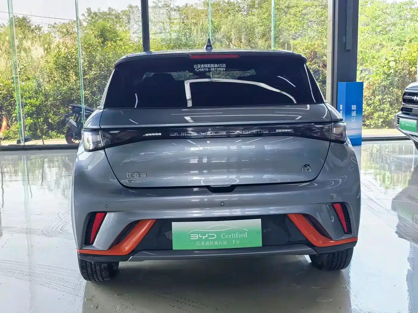 Dolphin 2021 405km Freedom Edition — миниатюра 11