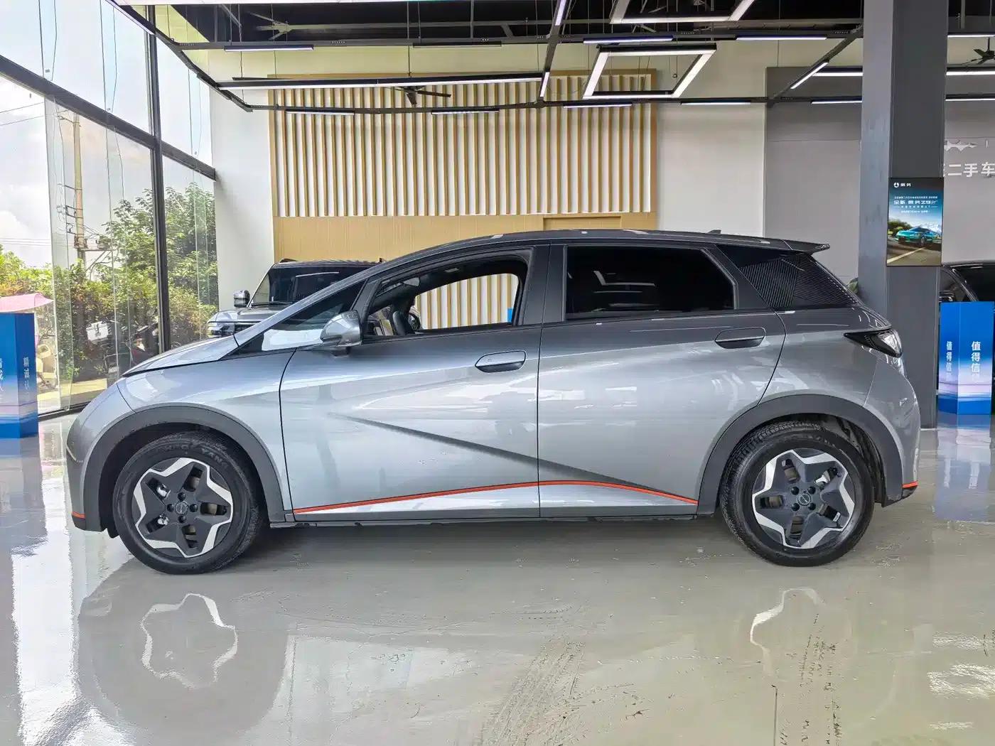 Dolphin 2021 405km Freedom Edition — миниатюра 12