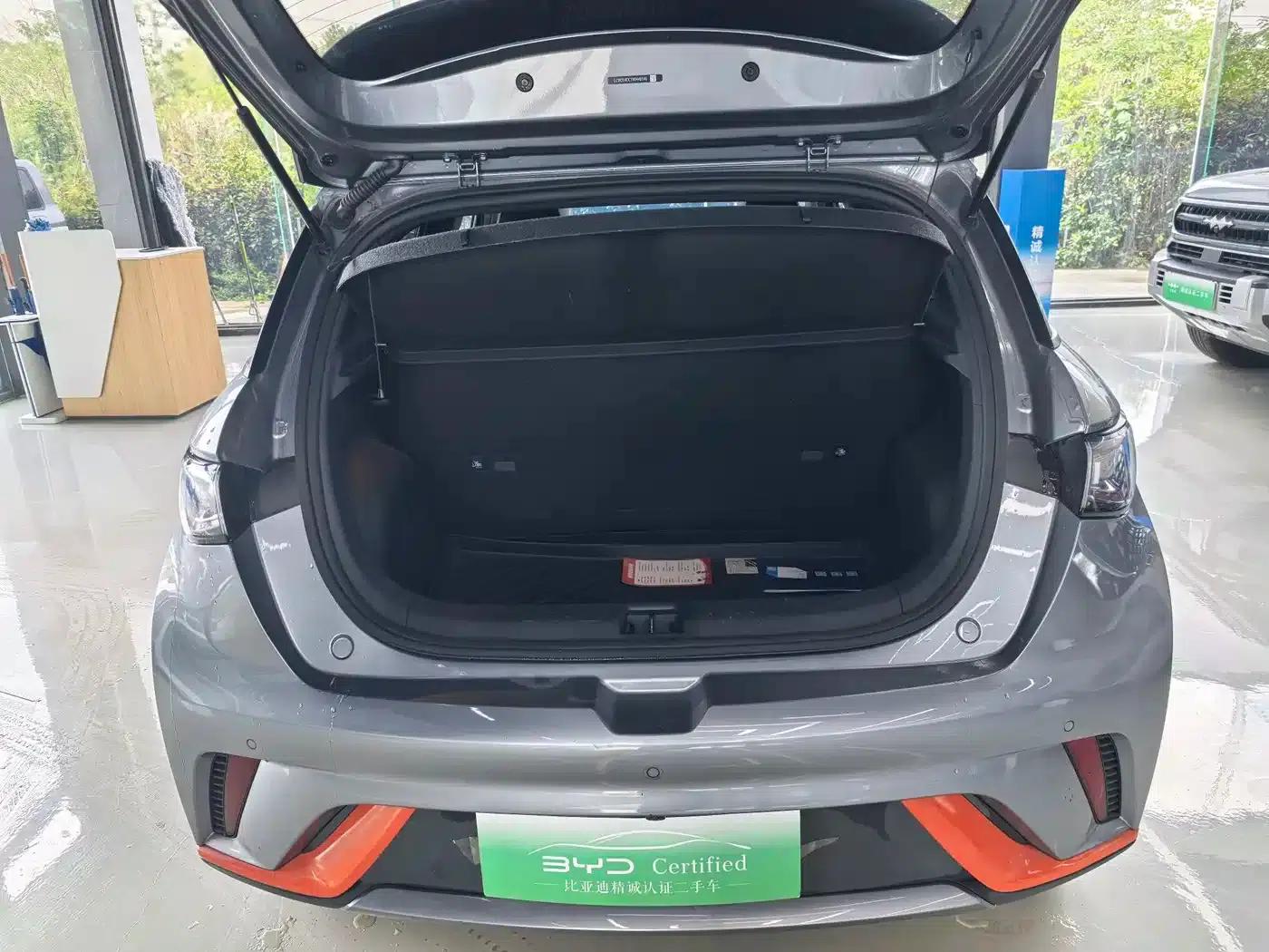 Dolphin 2021 405km Freedom Edition — миниатюра 13