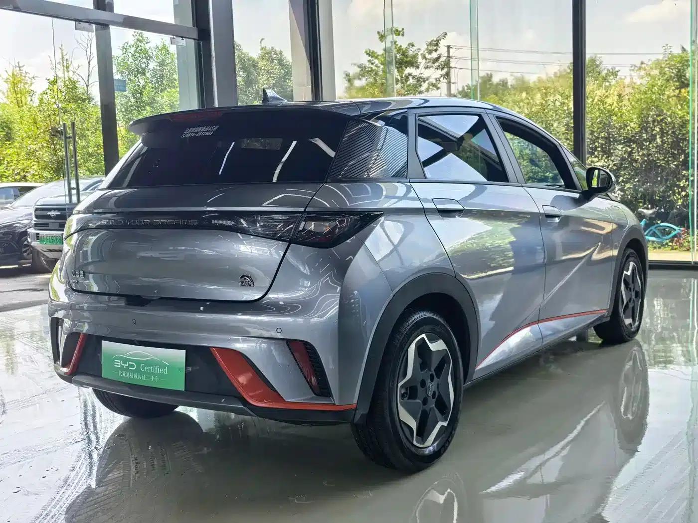 Dolphin 2021 405km Freedom Edition — миниатюра 14