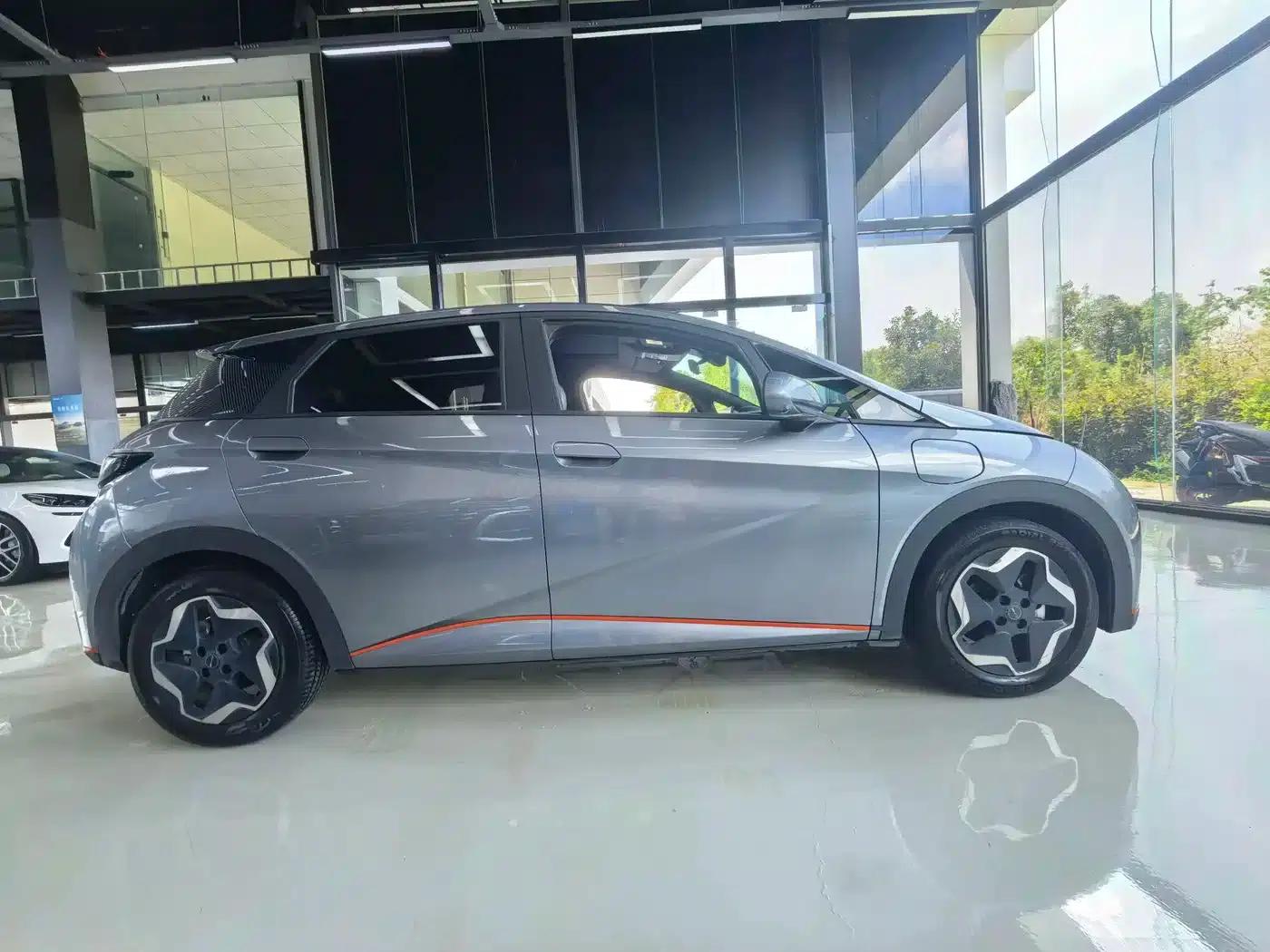 Dolphin 2021 405km Freedom Edition — миниатюра 15
