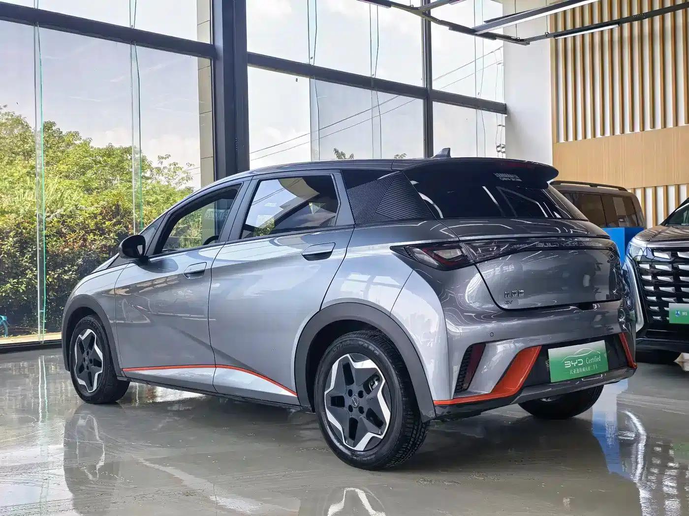 Dolphin 2021 405km Freedom Edition — миниатюра 10
