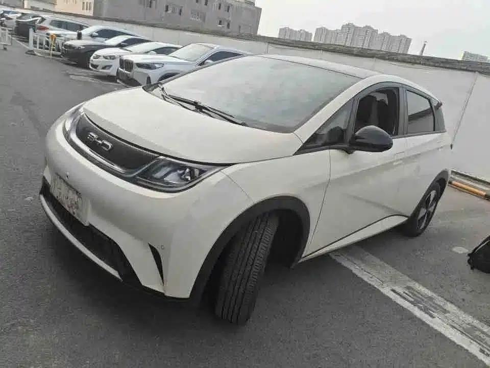 Dolphin 2023 420km Fashion Edition — миниатюра 1