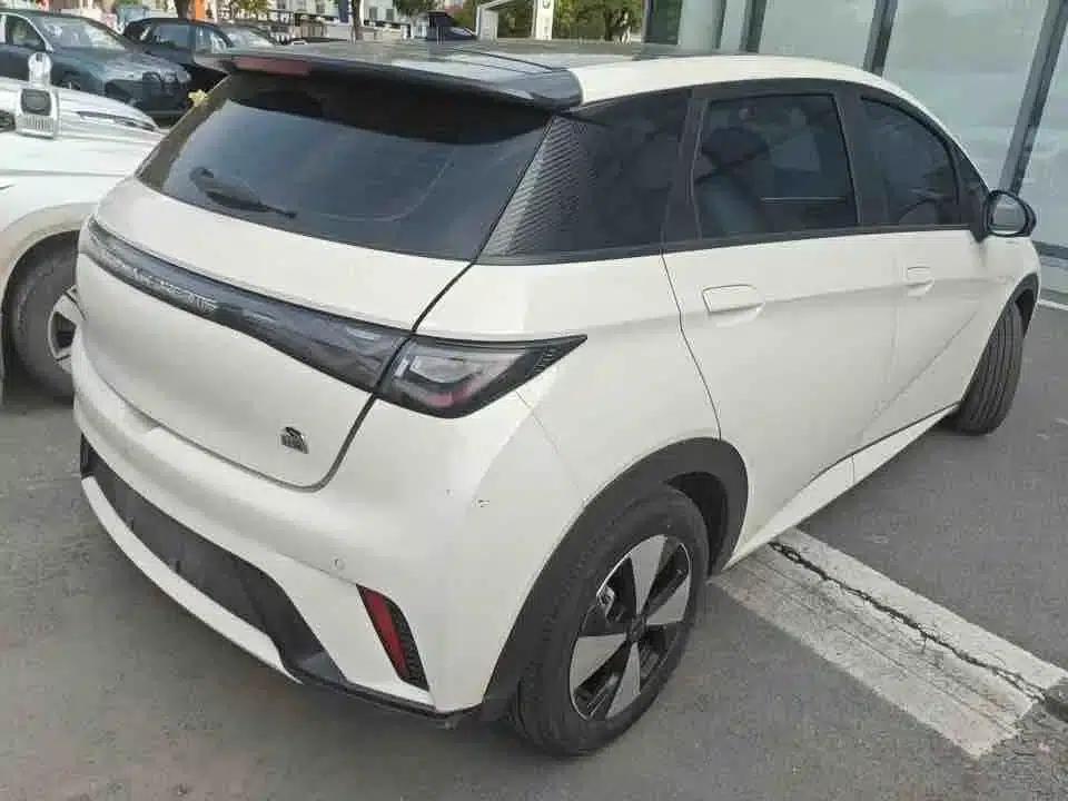 Dolphin 2023 420km Fashion Edition — миниатюра 6