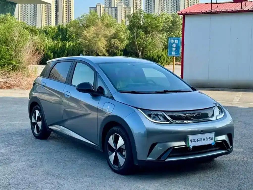 Dolphin 2023 420km Freedom Edition — миниатюра 1