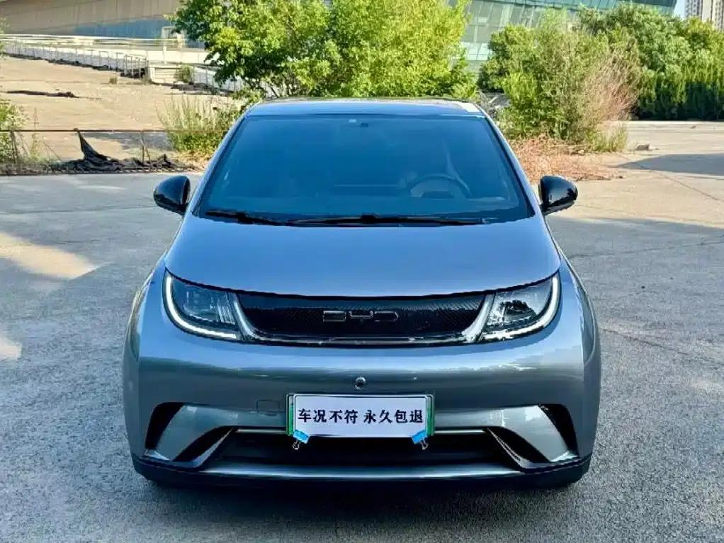 Dolphin 2023 420km Freedom Edition — миниатюра 2