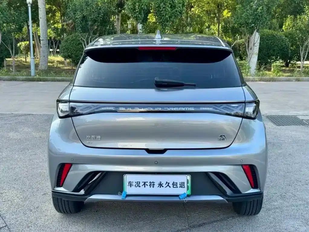 Dolphin 2023 420km Freedom Edition — миниатюра 11