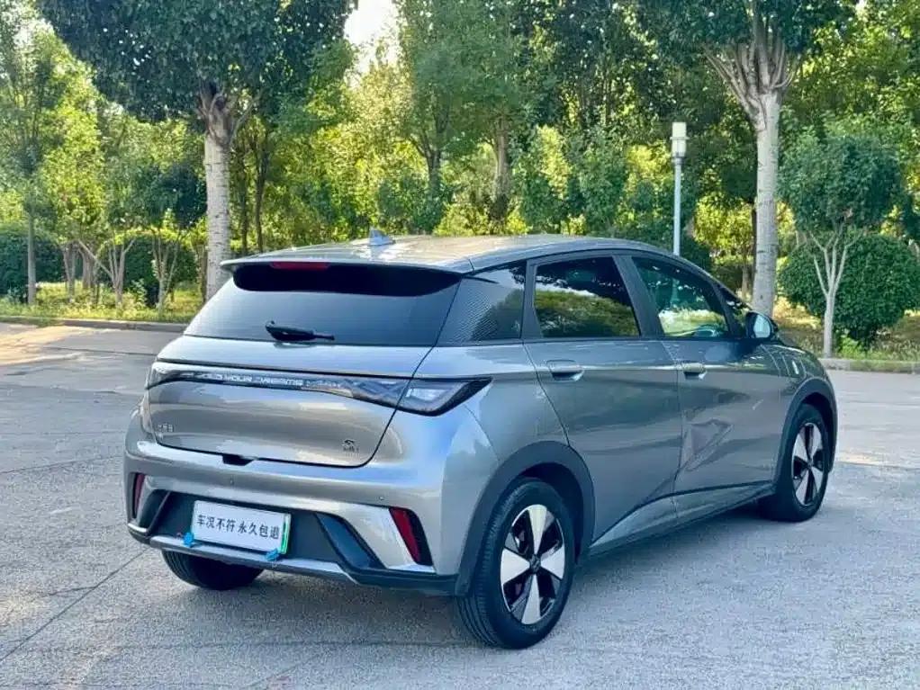 Dolphin 2023 420km Freedom Edition — миниатюра 12