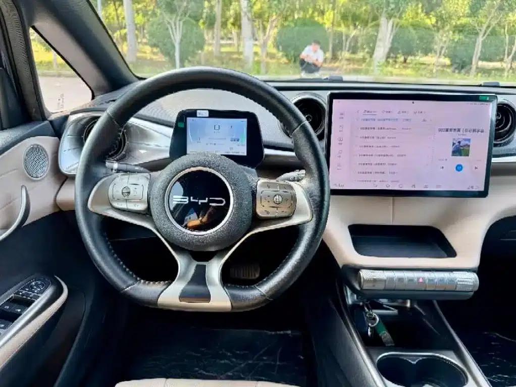 Dolphin 2023 420km Freedom Edition — миниатюра 8