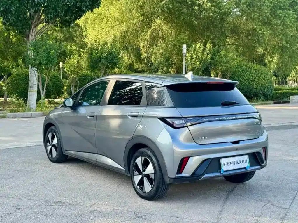 Dolphin 2023 420km Freedom Edition — миниатюра 10
