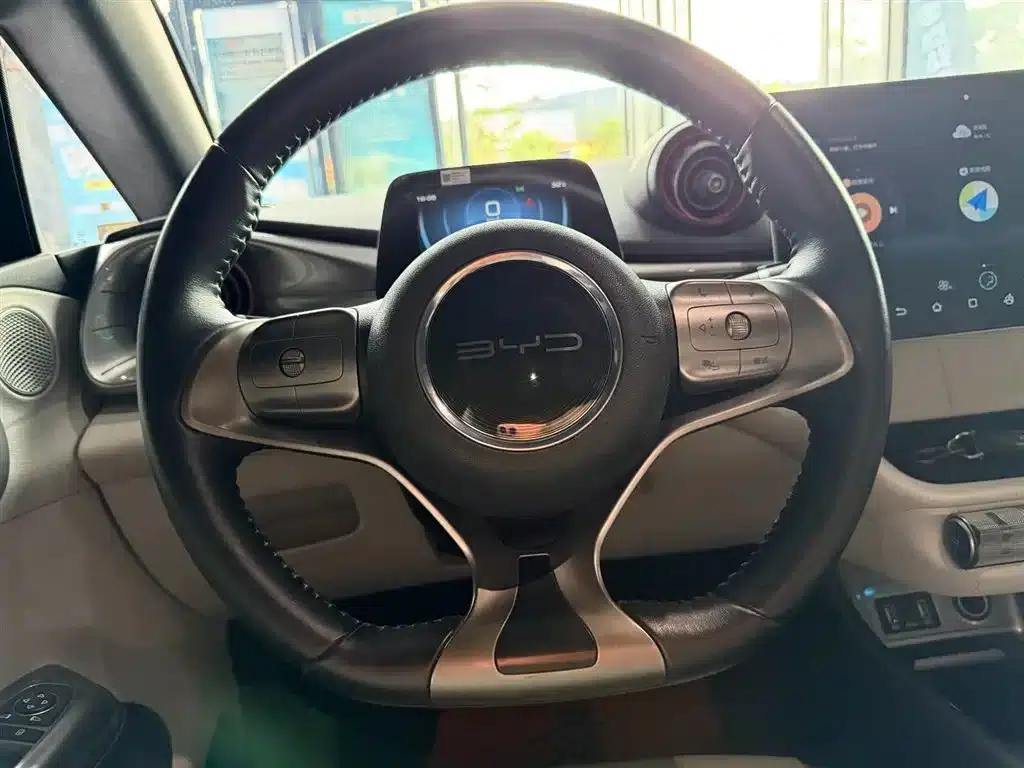 Dolphin 2021 405km Fashion Edition — миниатюра 15