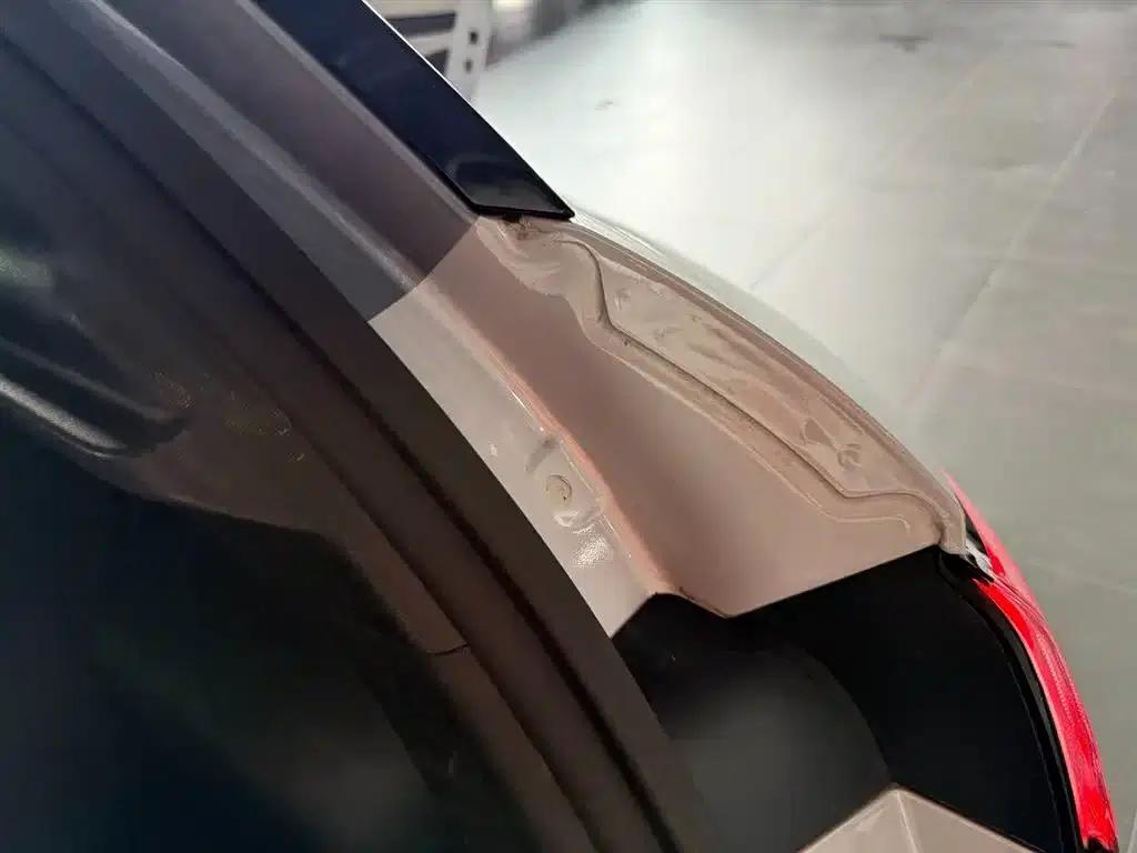Dolphin 2021 405km Fashion Edition — миниатюра 24