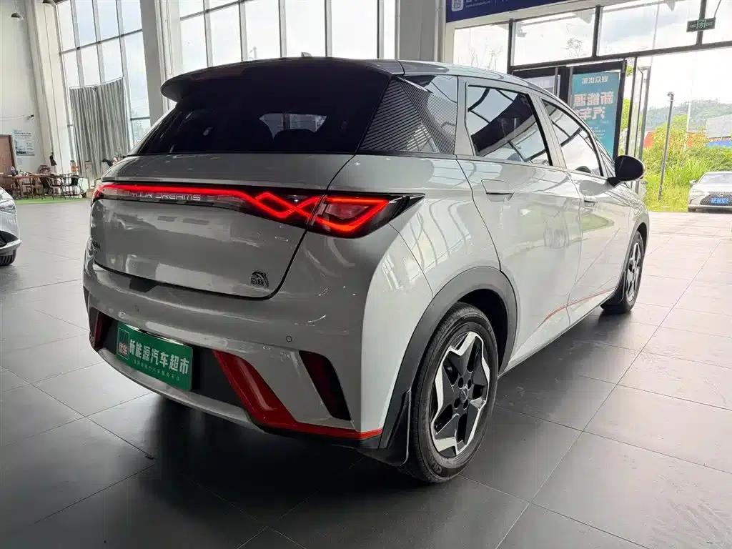 Dolphin 2021 405km Fashion Edition — миниатюра 7