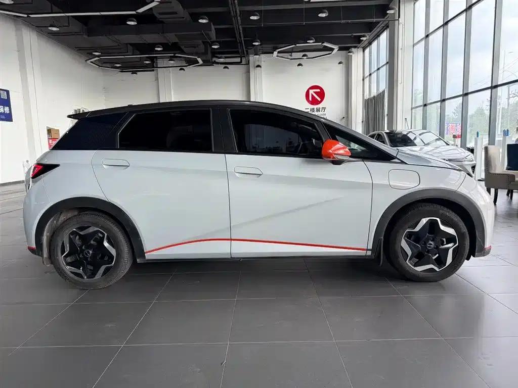 Dolphin 2021 405km Fashion Edition — миниатюра 8