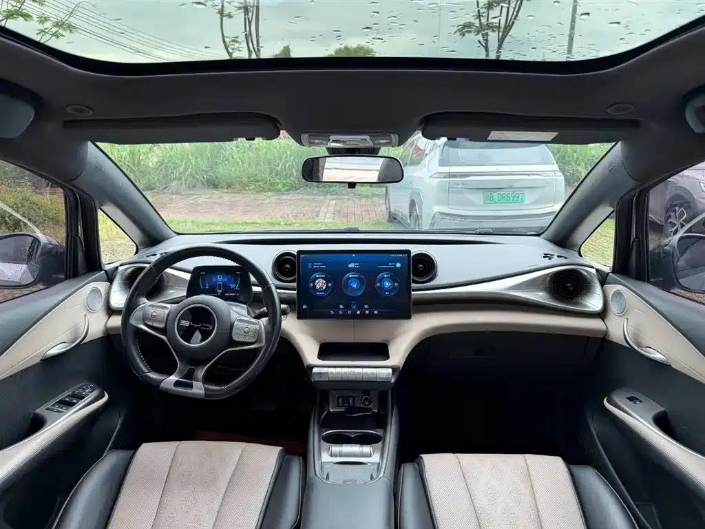 Dolphin 2023 420km Fashion Edition — миниатюра 19