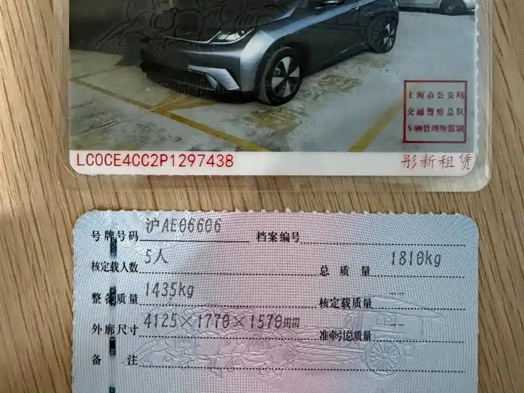 Dolphin 2023 420km Fashion Edition — миниатюра 20