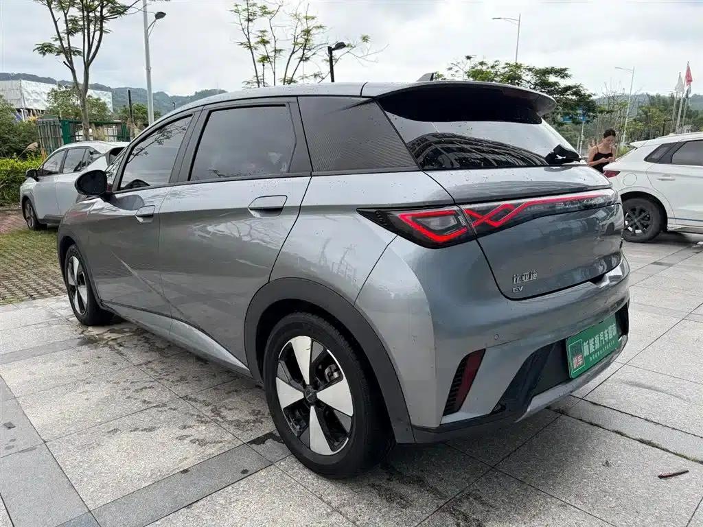 Dolphin 2023 420km Fashion Edition — миниатюра 5