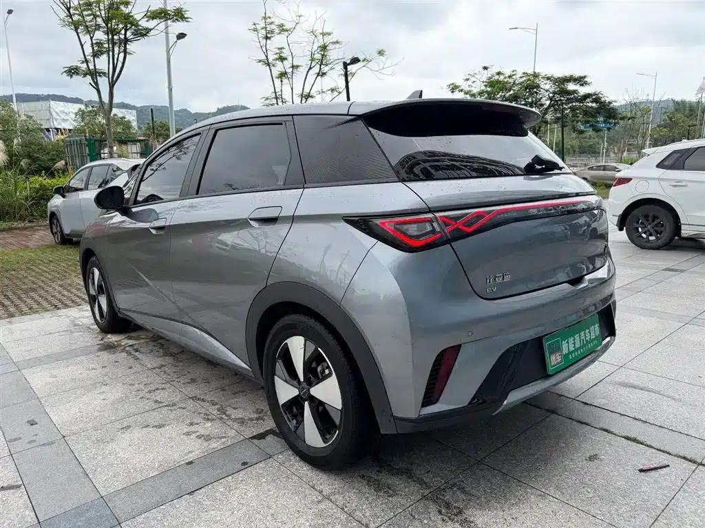 Dolphin 2023 420km Fashion Edition — миниатюра 6