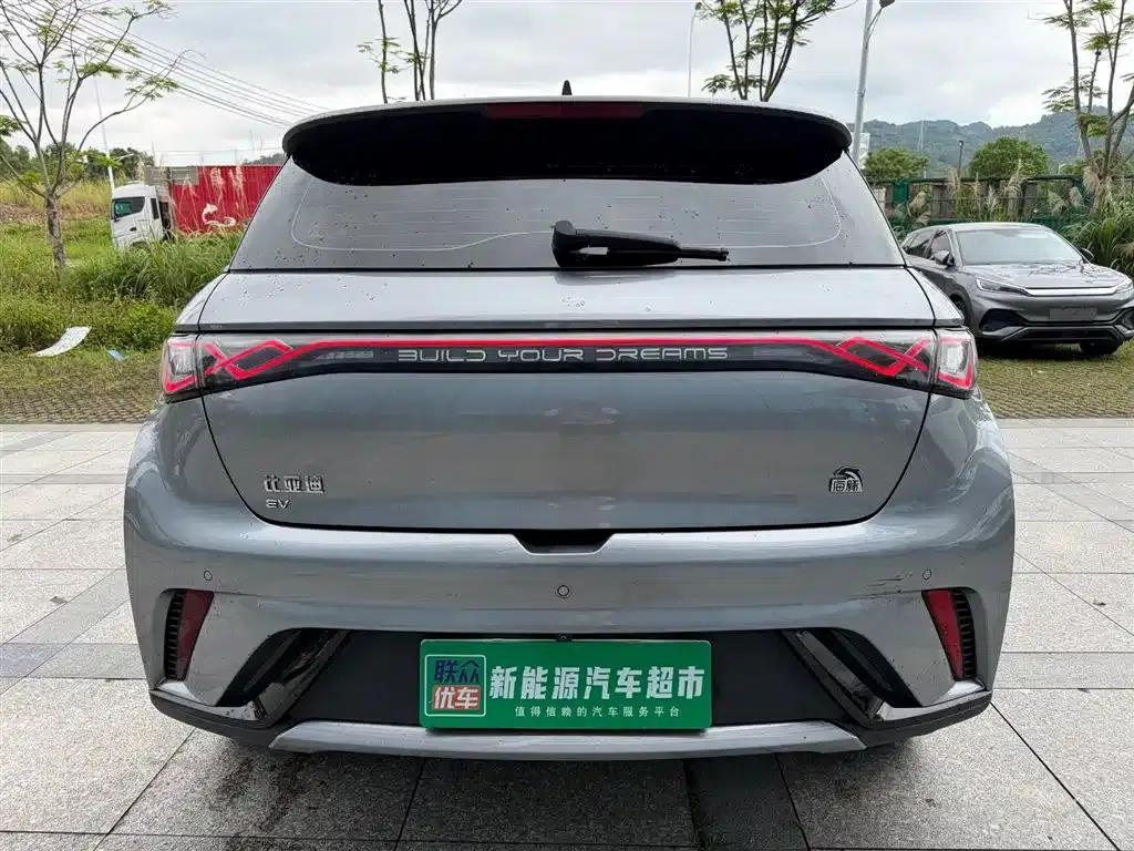 Dolphin 2023 420km Fashion Edition — миниатюра 7