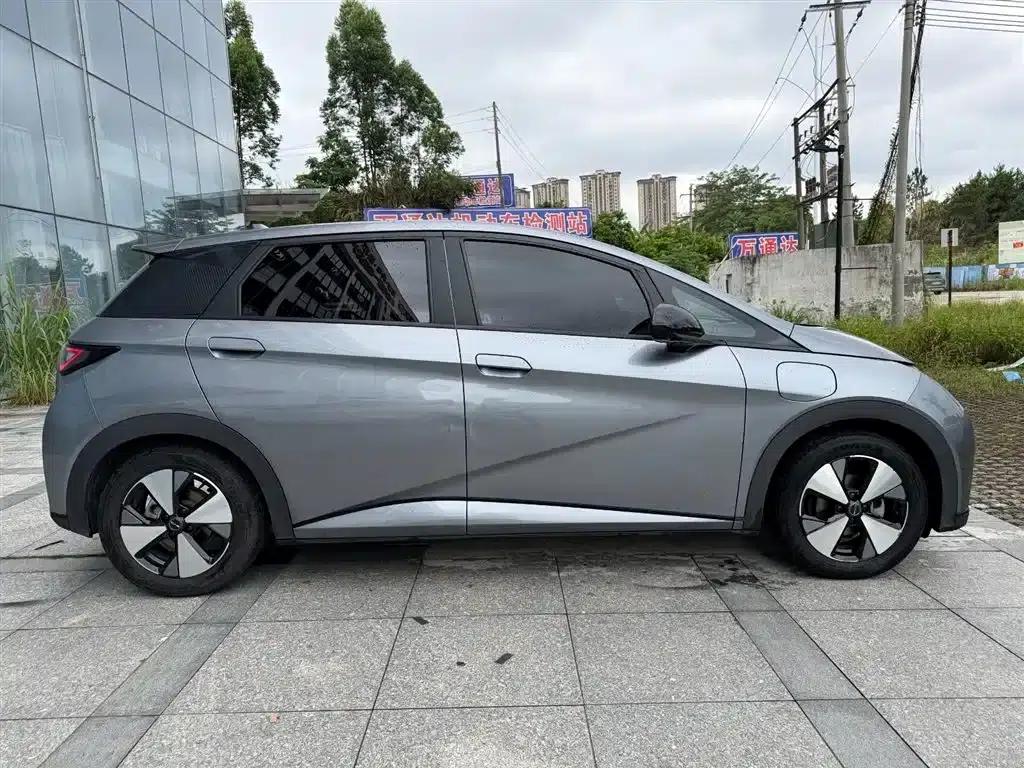 Dolphin 2023 420km Fashion Edition — миниатюра 9