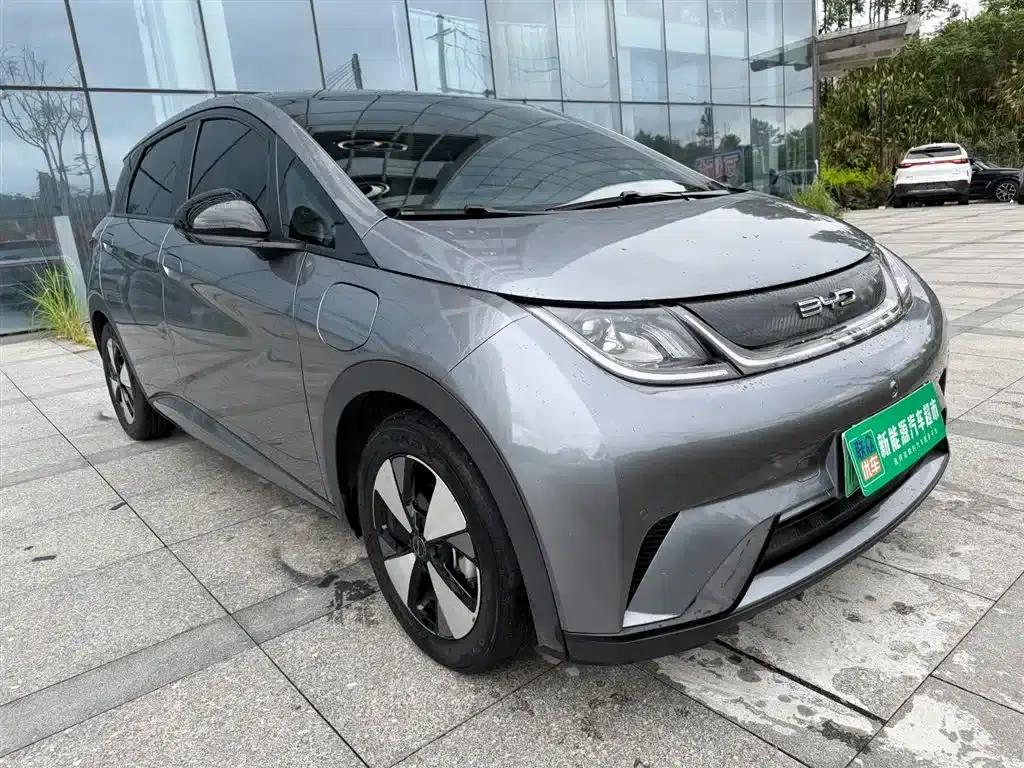 Dolphin 2023 420km Fashion Edition — миниатюра 10