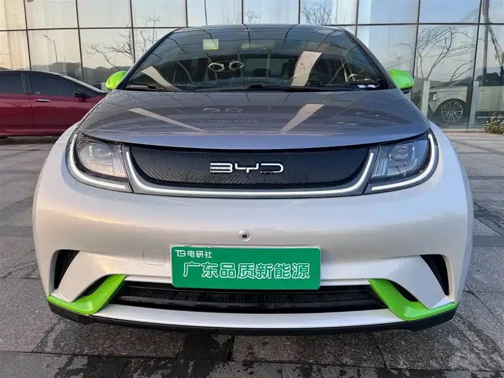 Dolphin 2021 405km Freedom Edition — миниатюра 1