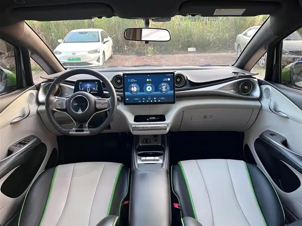 Dolphin 2021 405km Freedom Edition — миниатюра 11