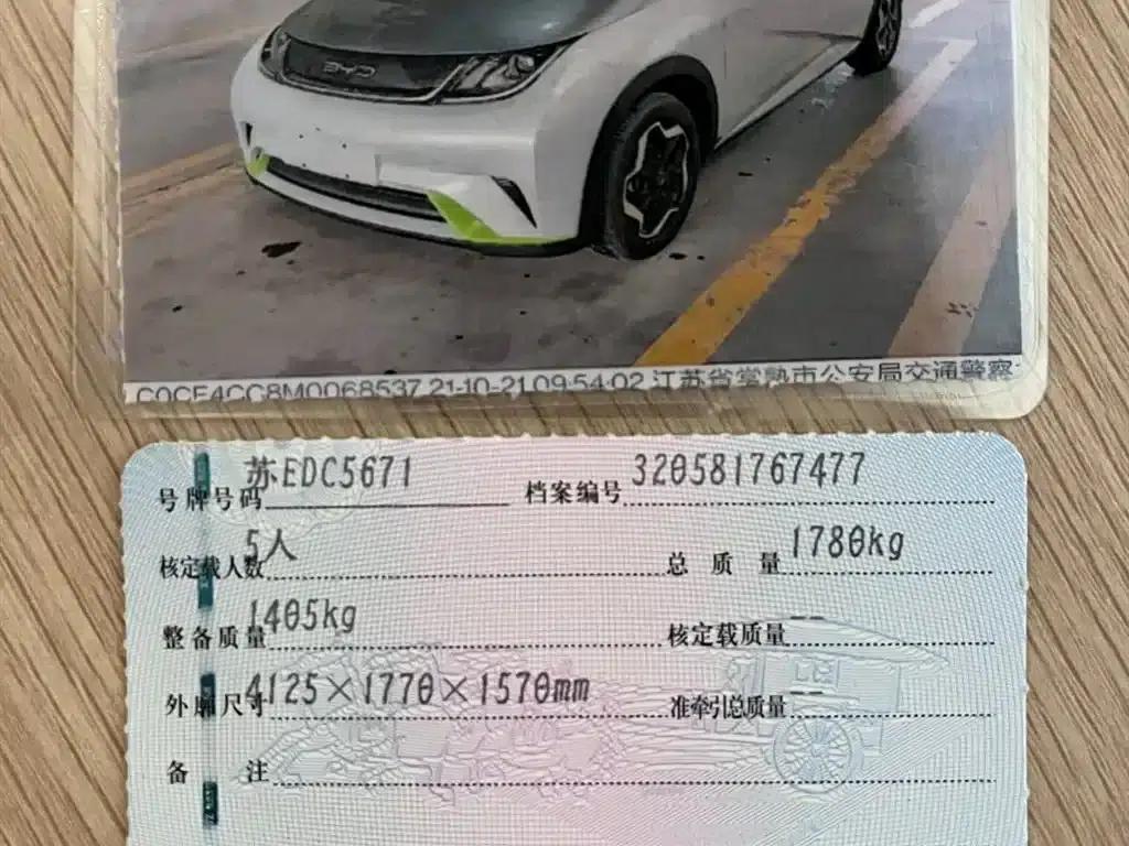 Dolphin 2021 405km Freedom Edition — миниатюра 13