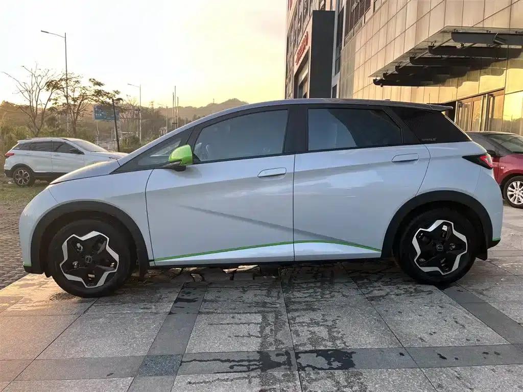 Dolphin 2021 405km Freedom Edition — миниатюра 3