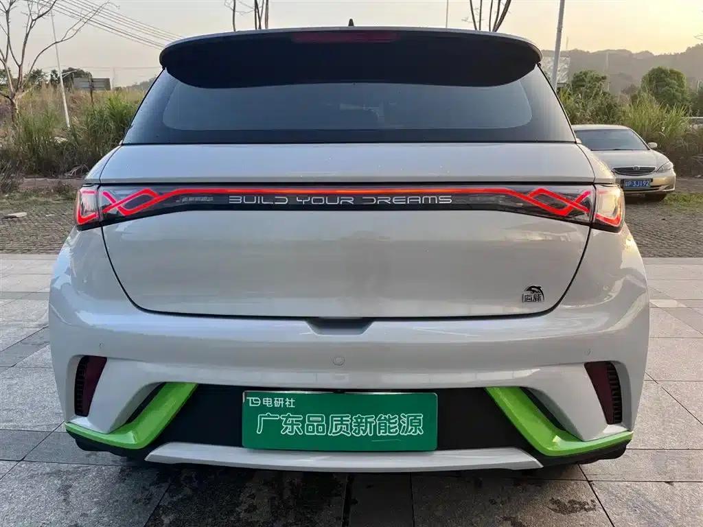 Dolphin 2021 405km Freedom Edition — миниатюра 4