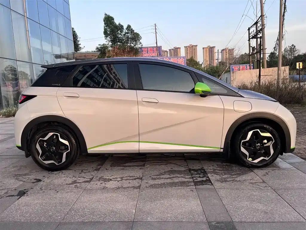 Dolphin 2021 405km Freedom Edition — миниатюра 5