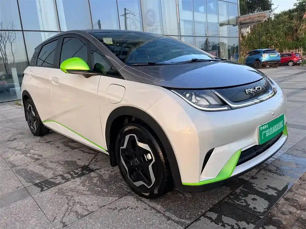 Dolphin 2021 405km Freedom Edition — миниатюра 6