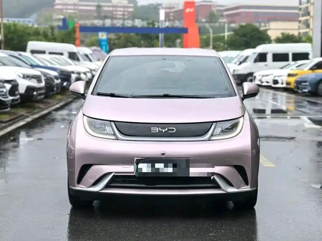 Dolphin 2025 420km Freedom Edition — миниатюра 2