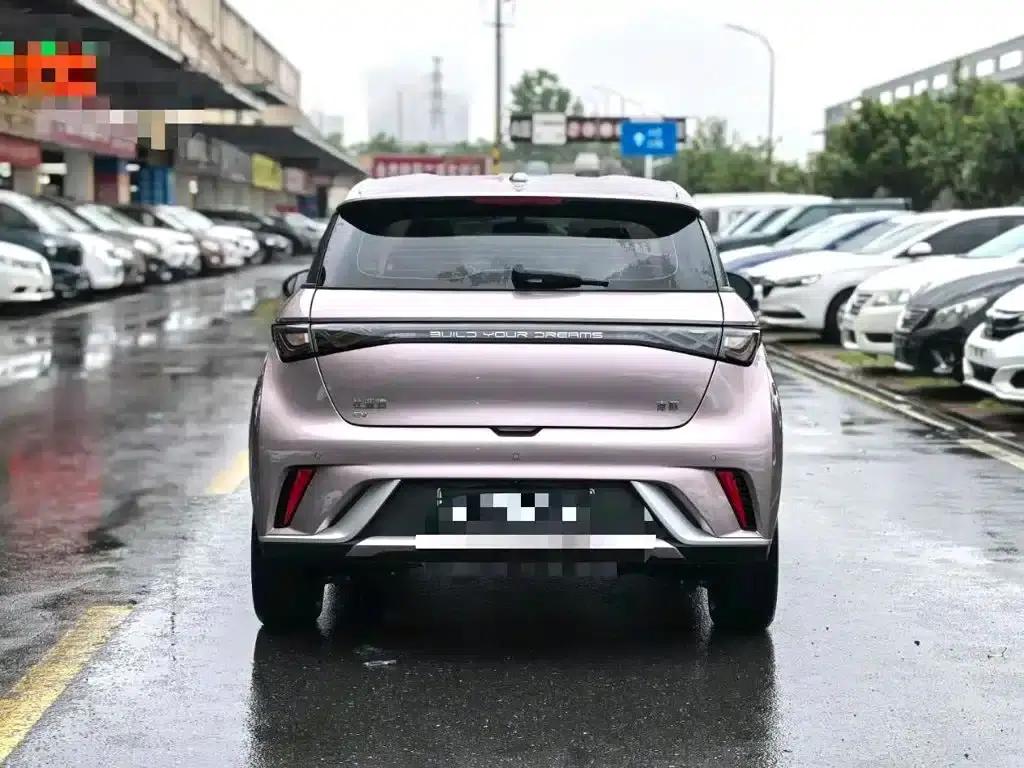 Dolphin 2025 420km Freedom Edition — миниатюра 4