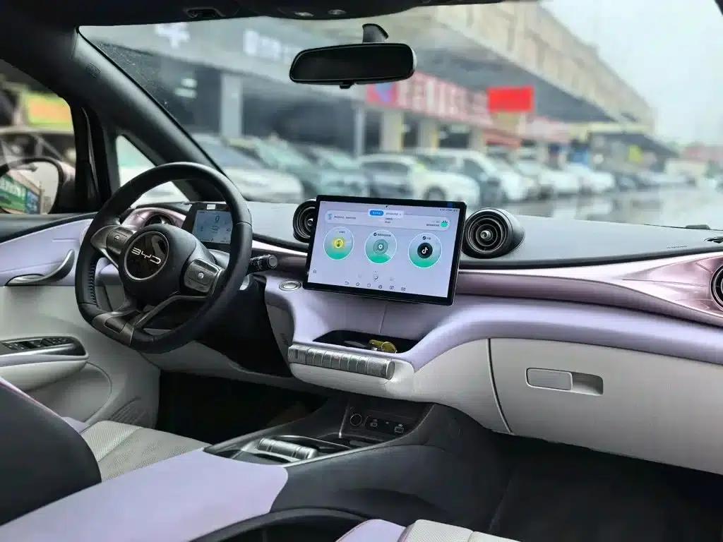 Dolphin 2025 420km Freedom Edition — миниатюра 7