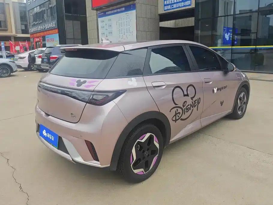 Dolphin 2021 405km Fashion Edition — миниатюра 3