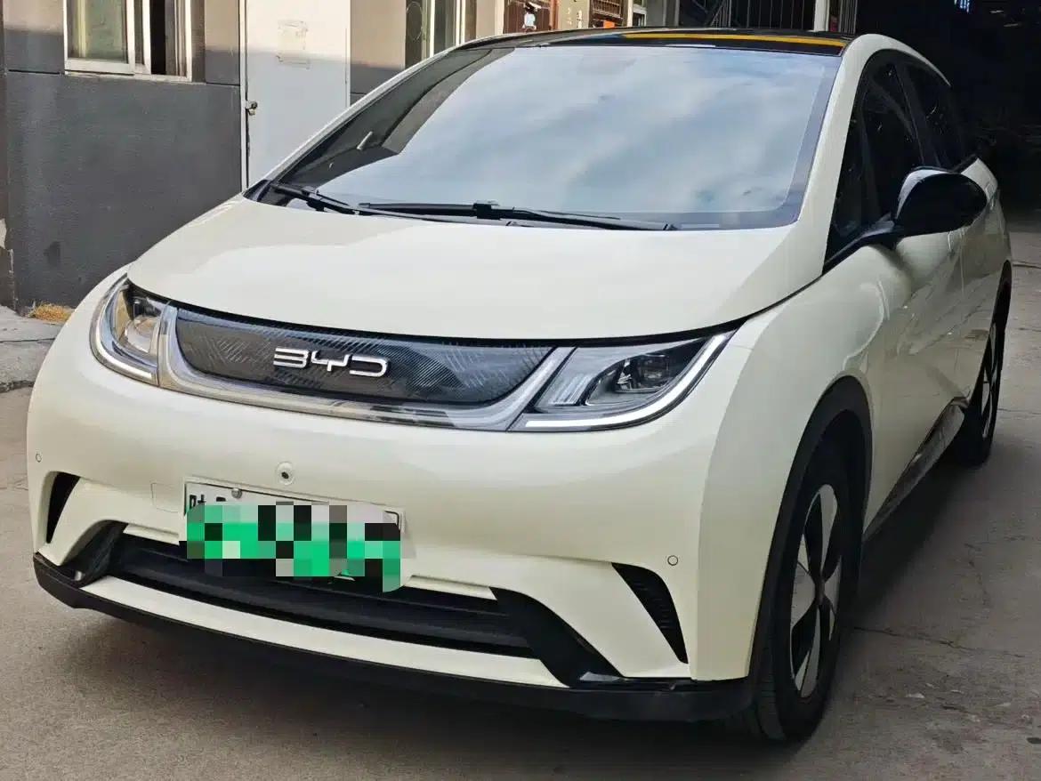 Dolphin 2023 420km Fashion Edition — миниатюра 1